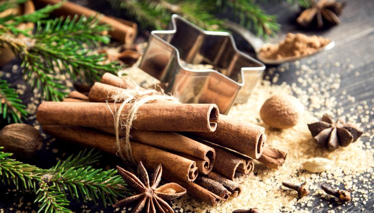 канела - ЗЛАТНО ВРЕМЕ: Коледа с щипка канела