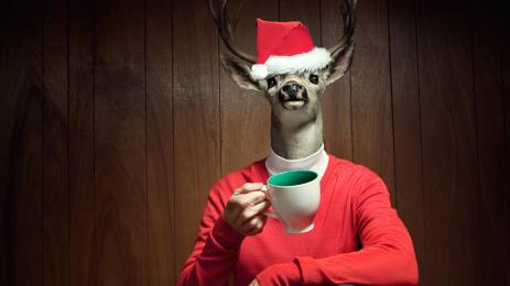 елен рудолф