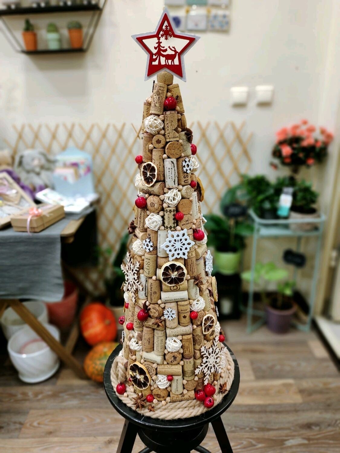 практични съвети елха