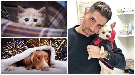 Евгени евтимов