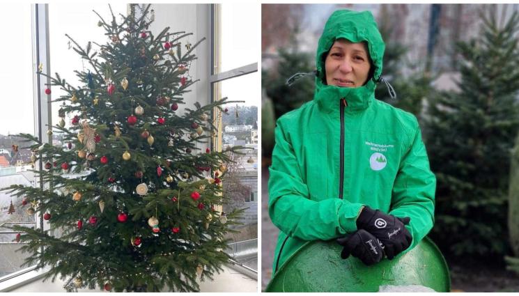 българи в Австрия - Режат елхи на пълнолуние