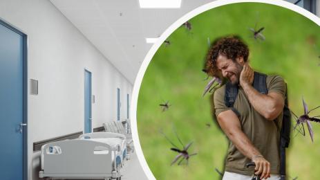 комар болница