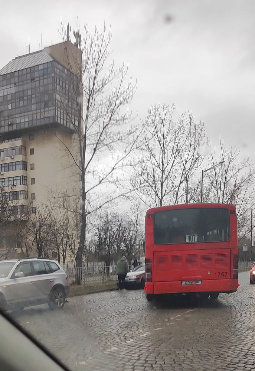 автобус борис