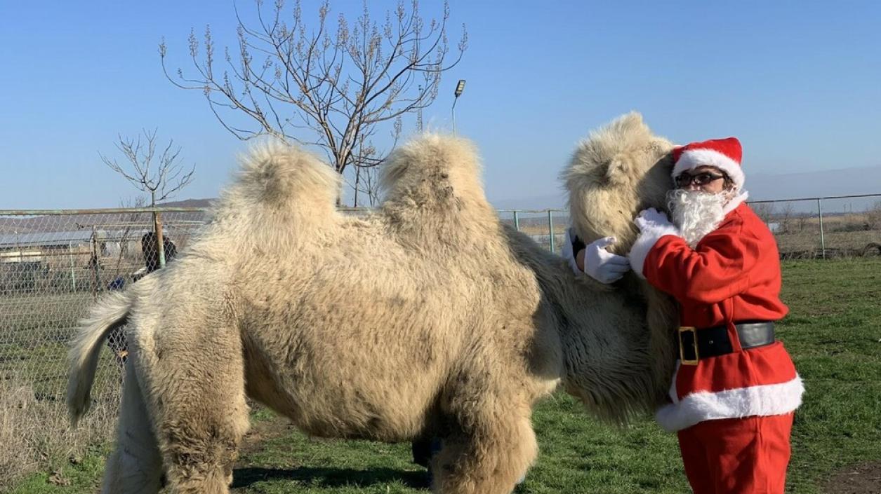 Зоопаркът в Бургас организира празник с Дядо Коледа