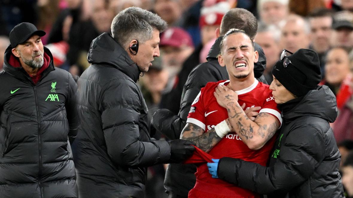 Клоп Цимикас