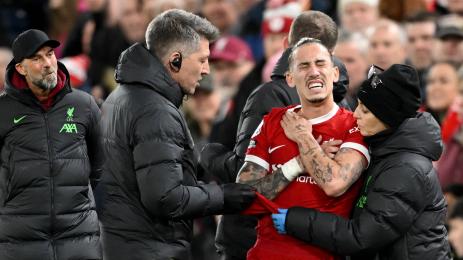 Клоп Цимикас