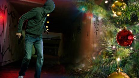 кражба елха