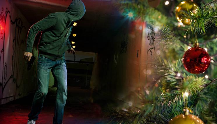 кражба елха - ПИПНАХА ГИ! Закопчаха крадците на пернишката елха