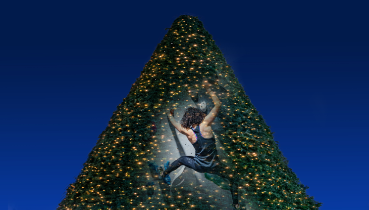 elha - ЖЕНАТА КОТКА: Пияна на кирка се покатери на 20-метрова елха (ВИДЕО)