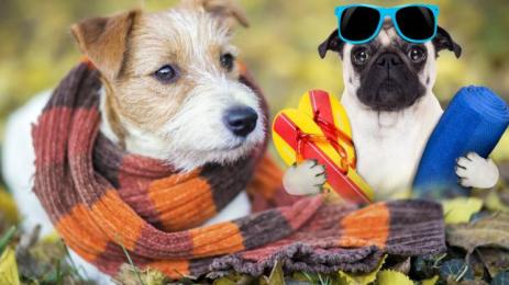 времето прогноза