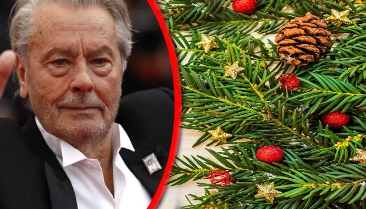 Ален Делон Коледа - КОЛЕДАТА НА ЗВЕЗДИТЕ: Ален Делон събра семейството си за Рождество! (СНИМКА)
