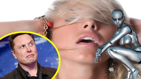 Мъск чип модел