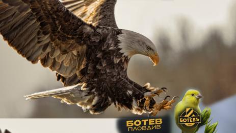 Лудогорец канарче Ботев