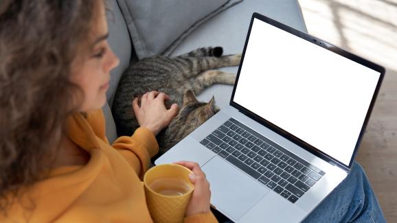 Радват ли се котките, когато собствениците им работят от вкъщи?