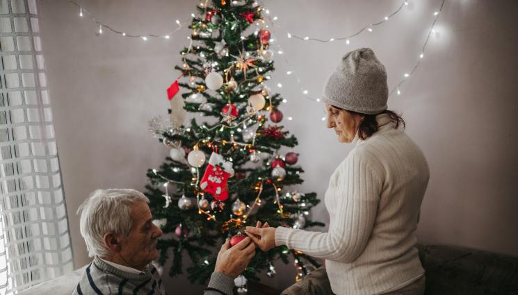 елха - ВЕСЕЛА КОЛЕДА: Изкуствената елха чукна 200 лева!