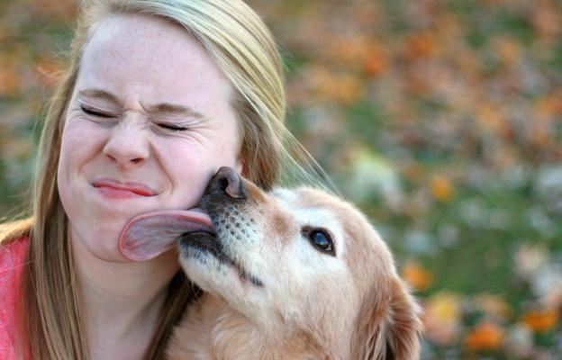 куче облизва уста