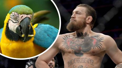 Конър Макгрегър