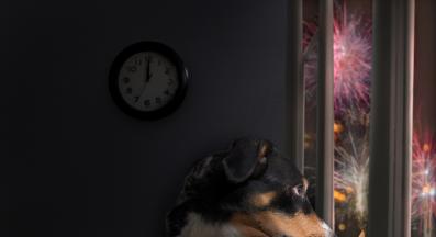 куче фойерверки