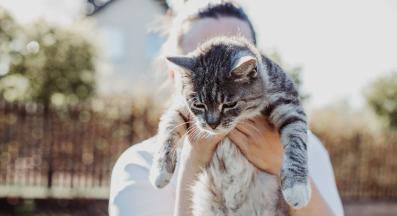 котка и собственик