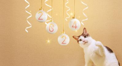 Нова година с котка