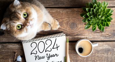 котка и нова година