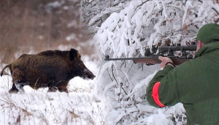 глиган - ГРУХ-ГРУХ: Ловешки Иисус гръмнал глиган и търтил да бяга!