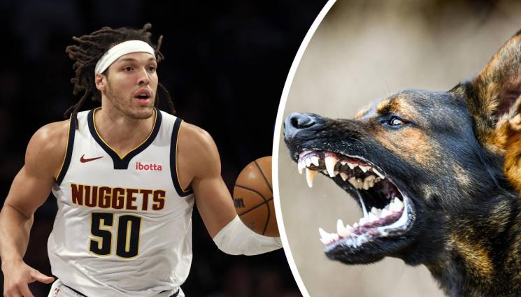 Арън Гордън - Куче наръфа лицето на шампион от НБА