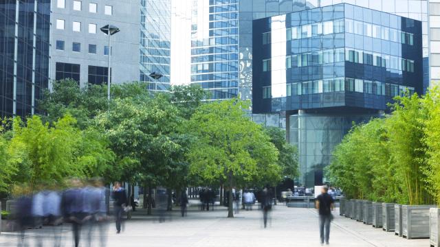 Животът в озеленени райони забавя стареенето