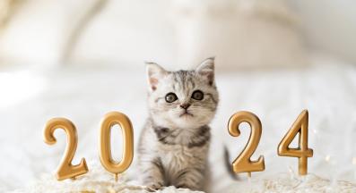 котка и собственичка