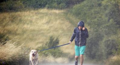 куче разходка