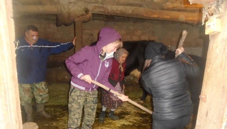 ринат тор - Ергени ринат тор на Карамановден