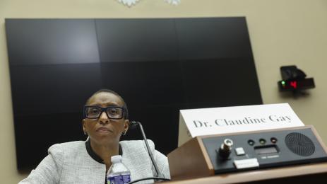 Клаудин Гей