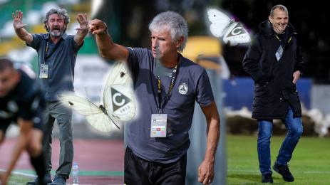 Бакеро Колев Загорчич пеперуди