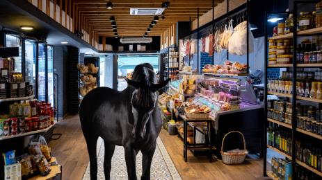 кон в магазин