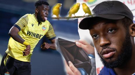 Бароан канарчета Ботев