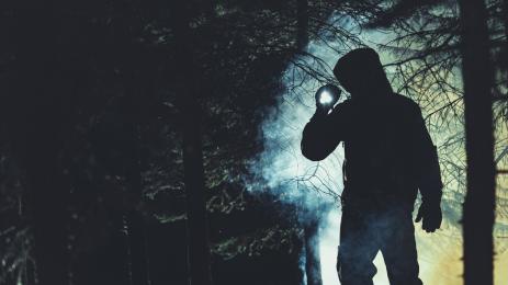 издирване гора