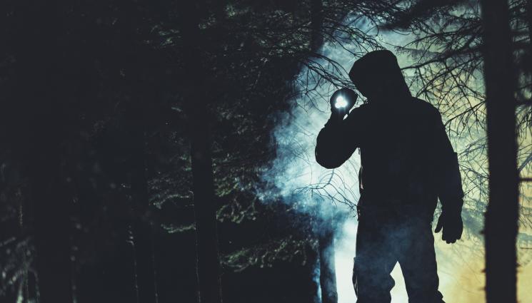 издирване гора