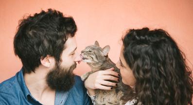 котка и двойка