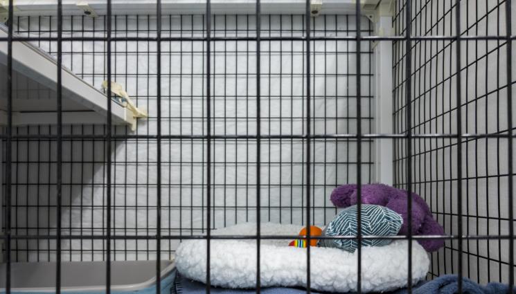 развъдник - ЧУДО НЕВИЖДАНО: Развъдници за хора хит на пазара!