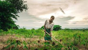 Израел отвори програма за наемане на селскостопански работници от Малави