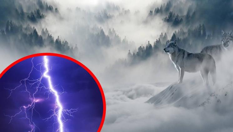 сняг вълци буря - СНЕЖЕН КОШМАР: Цяла Европа в студен шок, блокирани коли, жертви и хаос заради невижданото заледяване (СНИМКИ+ВИДЕО)