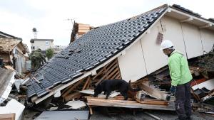 Земетресение с магнитуд 6 0 край централната част на Япония предизвика