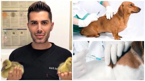 ваксина бяс