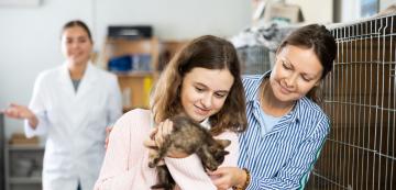 Какво трябва да знаете за осиновяването на котка