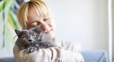 домашна котка