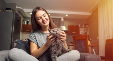 котка мърка