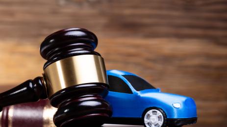 коли на търг