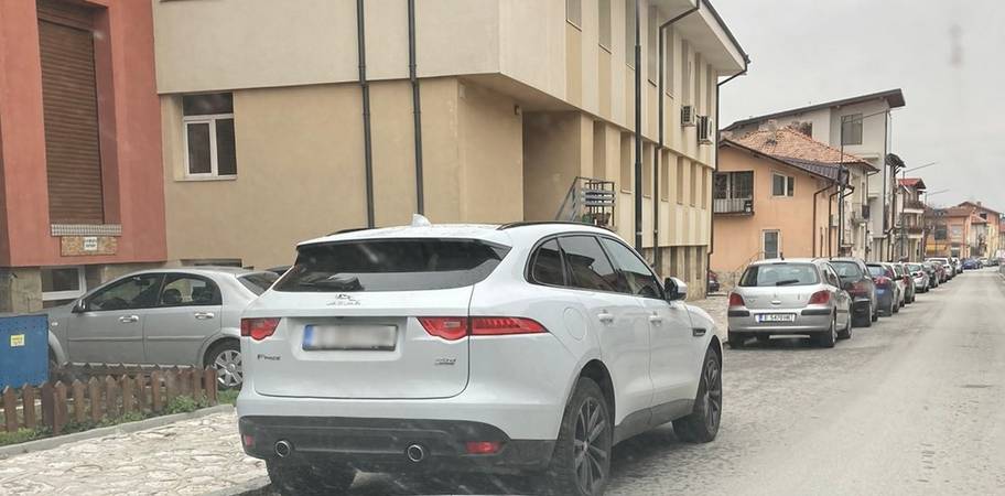 коли на търг