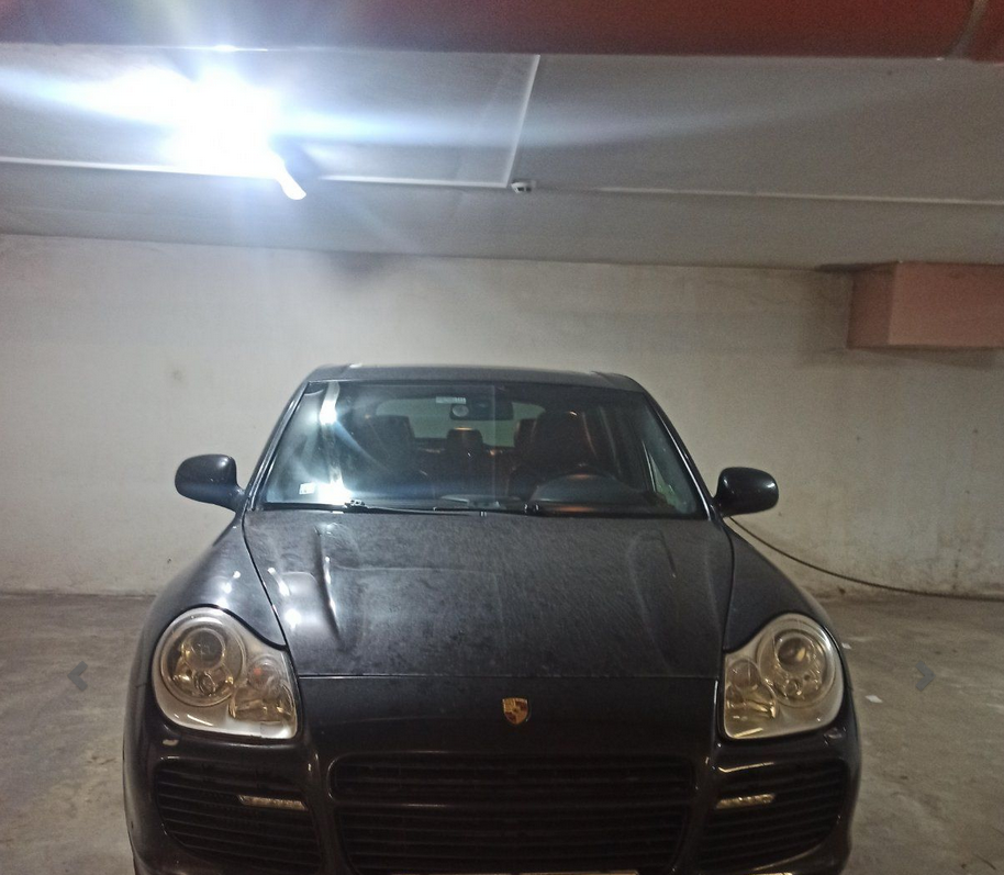 коли на търг