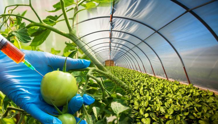 ГМО - Агро Телеграф: Новото ГМО не трябва да е анонимно